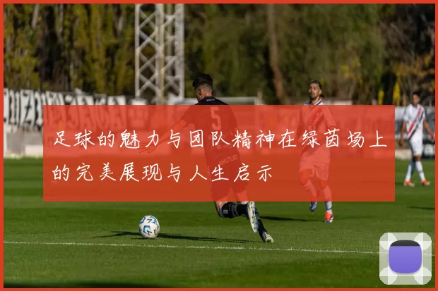 足球的魅力与团队精神在绿茵场上的完美展现与人生启示